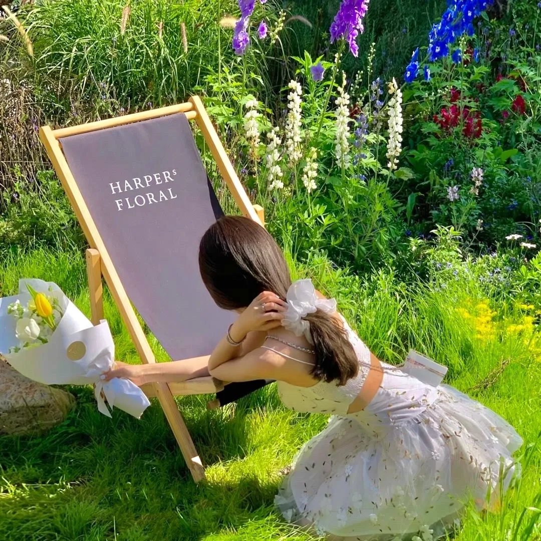 古惑仔情义篇之洪兴十三妹